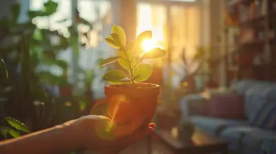 How To Declutter And Simplify Your Life Before A Downsizing Move