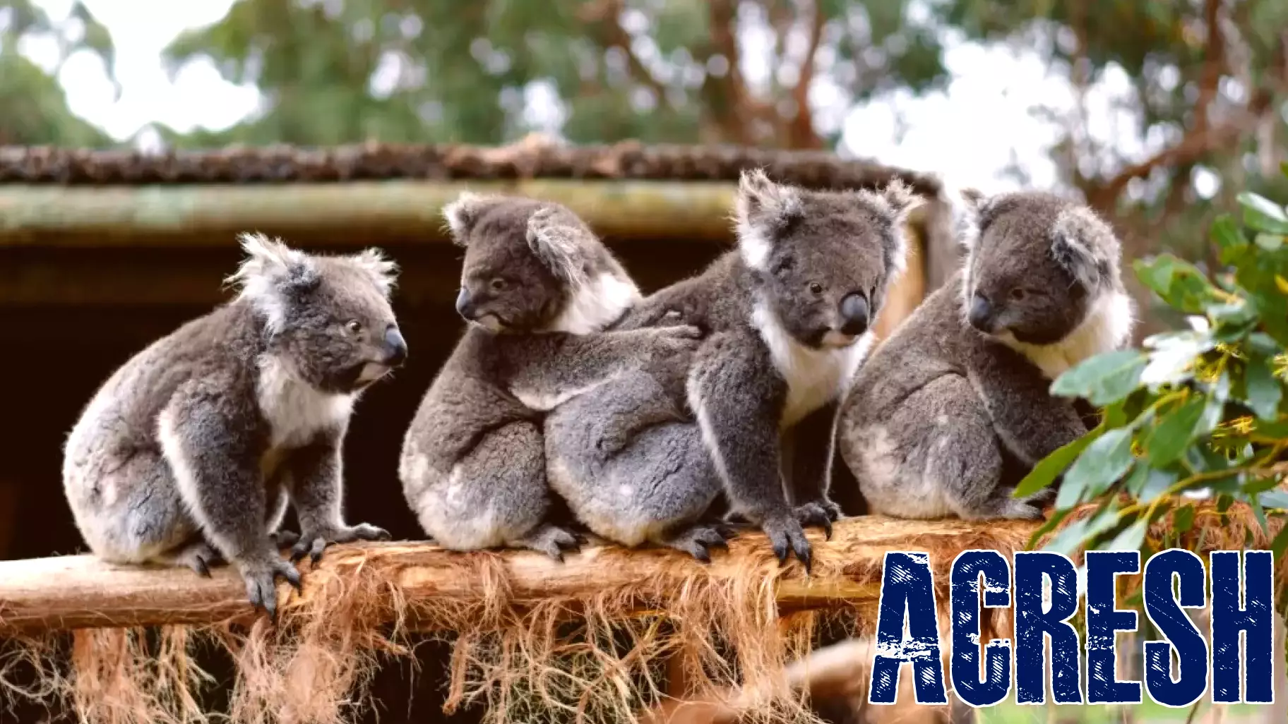 A New Perspective: Down Under